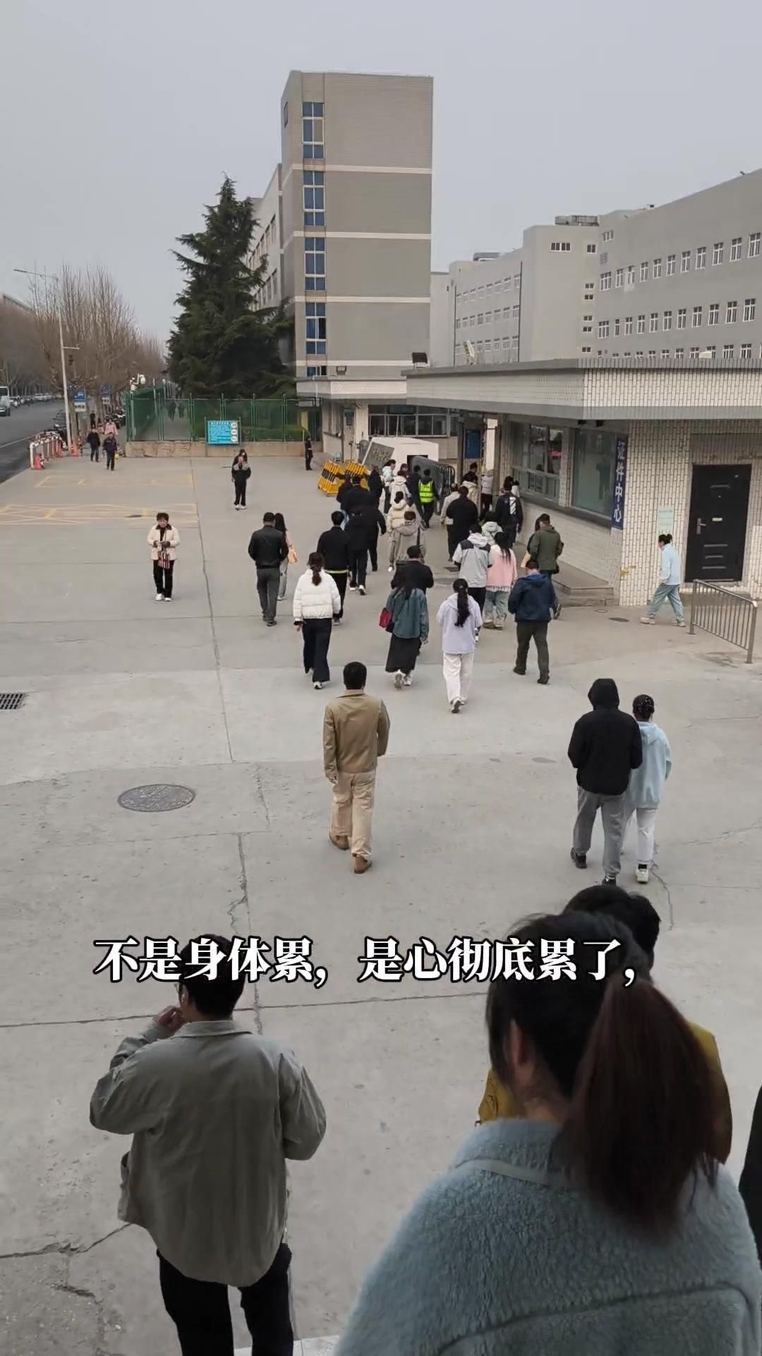 附带内容
