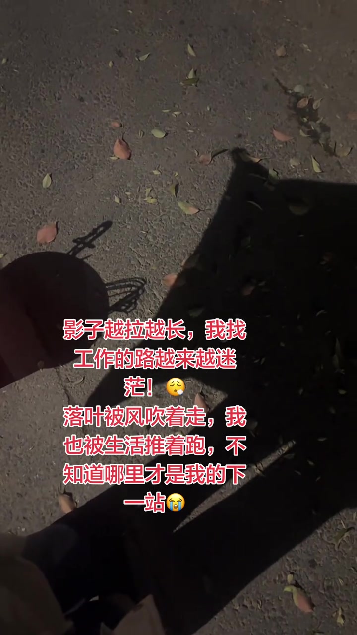 附带内容