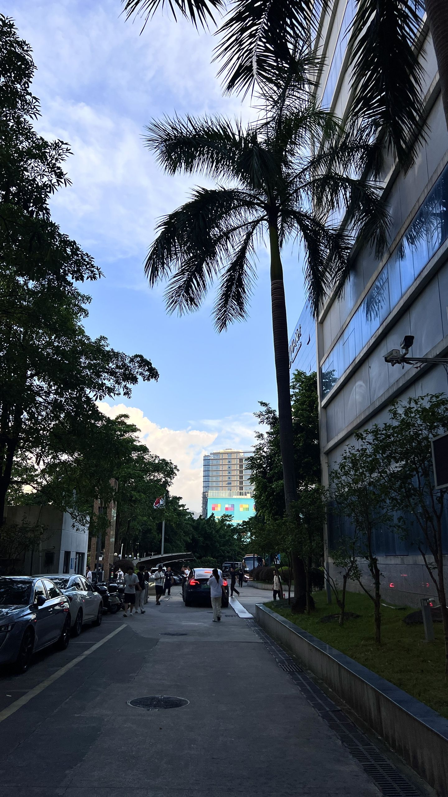 “钱要自己挣，苦要自己吃，路要自己走，就这样靠自己靠不住就哭，哭完继续靠。”

2026年8月19日，抖音博主“不乖”发布了这样一则视频。她17岁，第一次进厂，在深圳独自打工，日常早八晚十。她在简介里