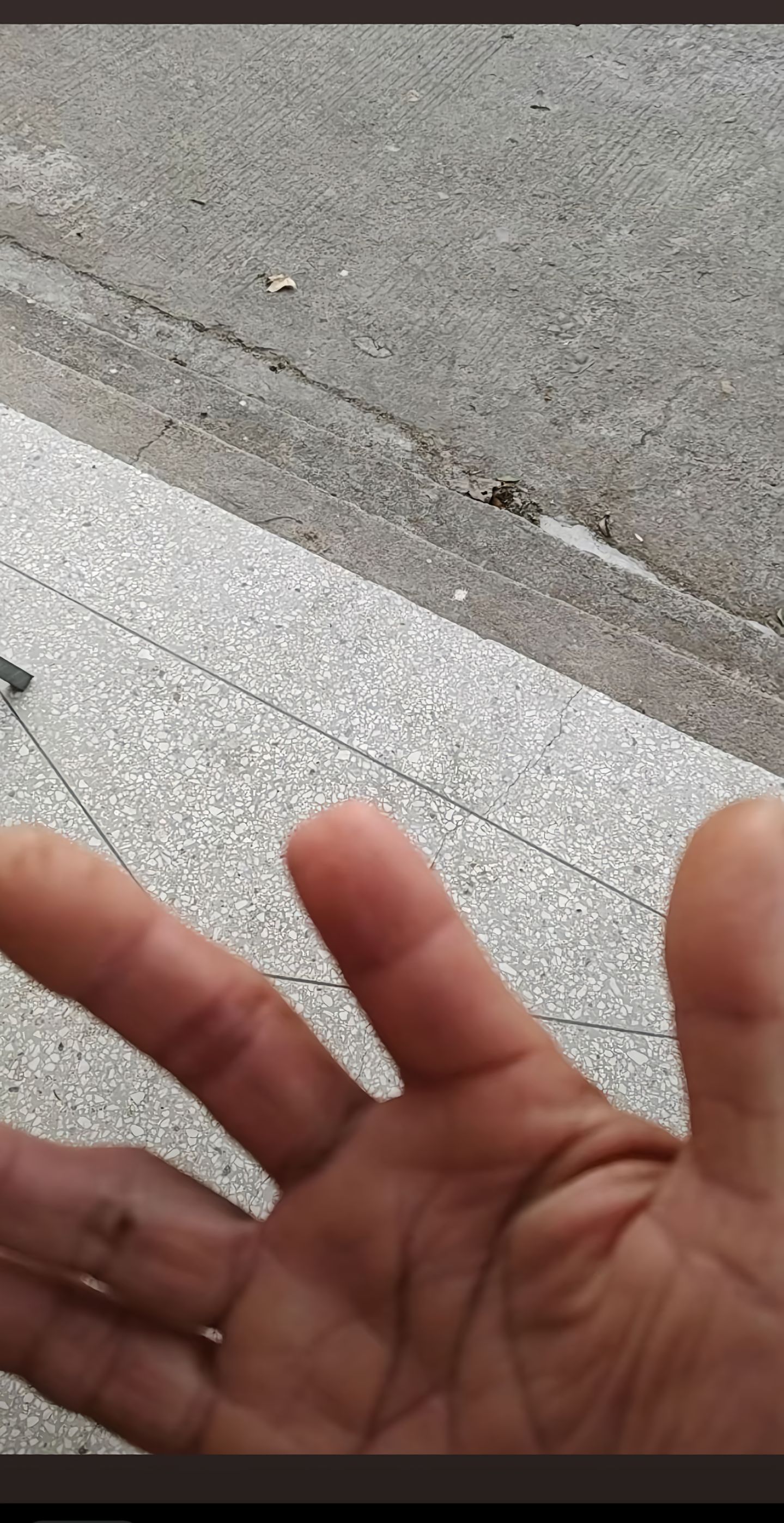 附带内容