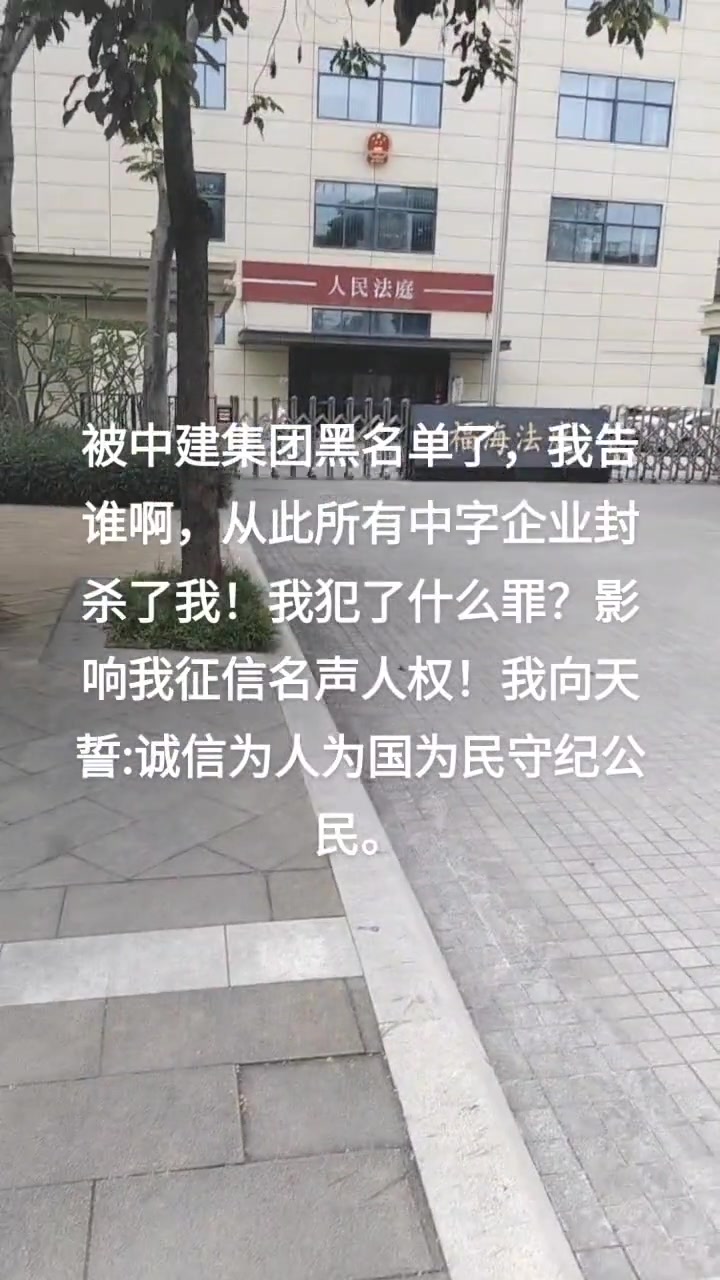“被中建集团黑名单了，我告谁啊，从此所有中字企业封杀了我！我犯了什么罪？影响我征信名声人权！”

5月17日，抖音博主张全平在法院门口发布视频，诉说自己因为被中国建筑集团（中建集团）拉入黑名单而面临的